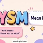 TYSM Mean in Text