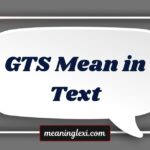 GTS Mean in Text