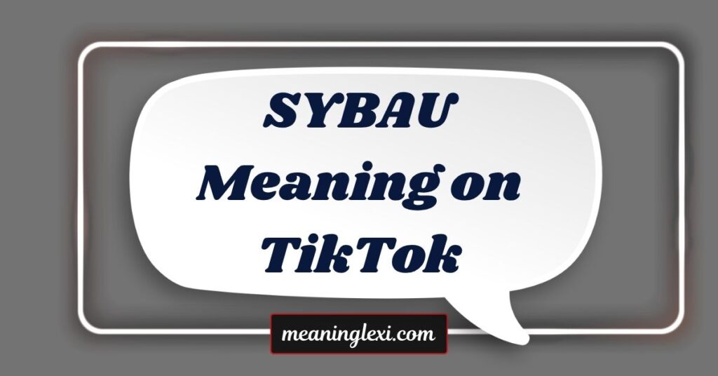 SYBAU Meaning on TikTok