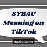 SYBAU Meaning on TikTok
