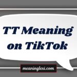 TT Meaning on TikTok