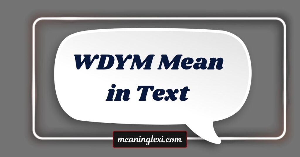 WDYM Mean in Text