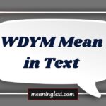 WDYM Mean in Text
