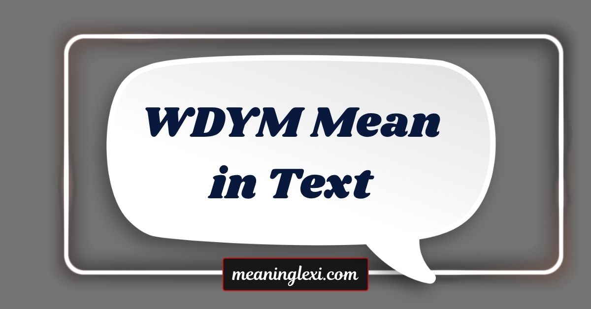 WDYM Mean in Text