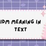 IDM Meaning in Text